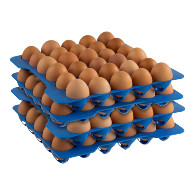 Egg Tray Set | 30Pcs