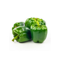 Green Pepper - Fresh Poivrons, 1KG