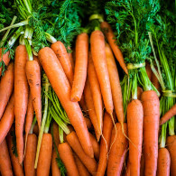 Carrots. 1KG