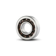 Roller Bearing