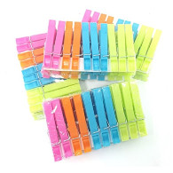 Plastic Clothes Pegs | 60Pcs